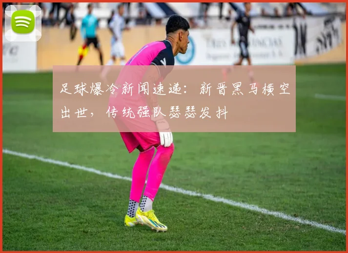 足球爆冷新闻速递：新晋黑马横空出世，传统强队瑟瑟发抖