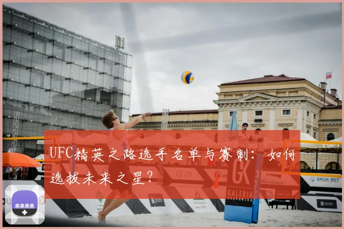 UFC精英之路选手名单与赛制：如何选拔未来之星？