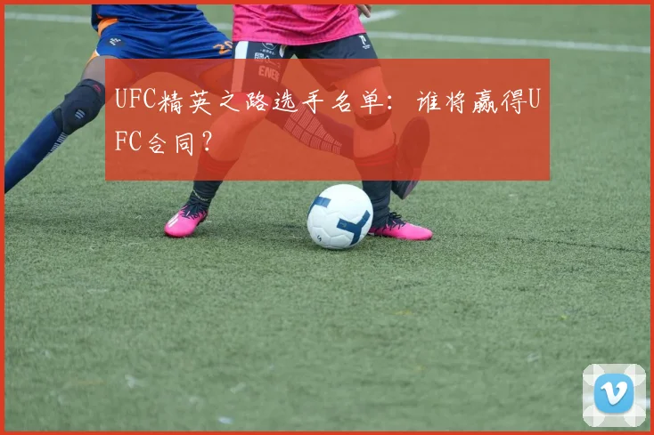 UFC精英之路选手名单：谁将赢得UFC合同？