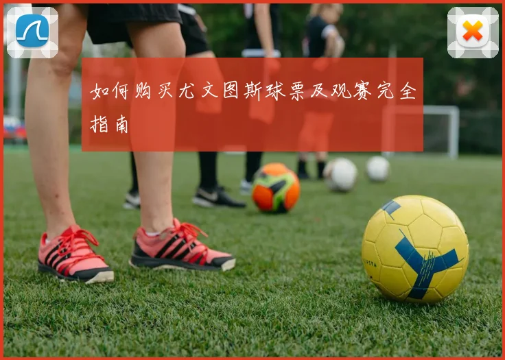 如何购买尤文图斯球票及观赛完全指南