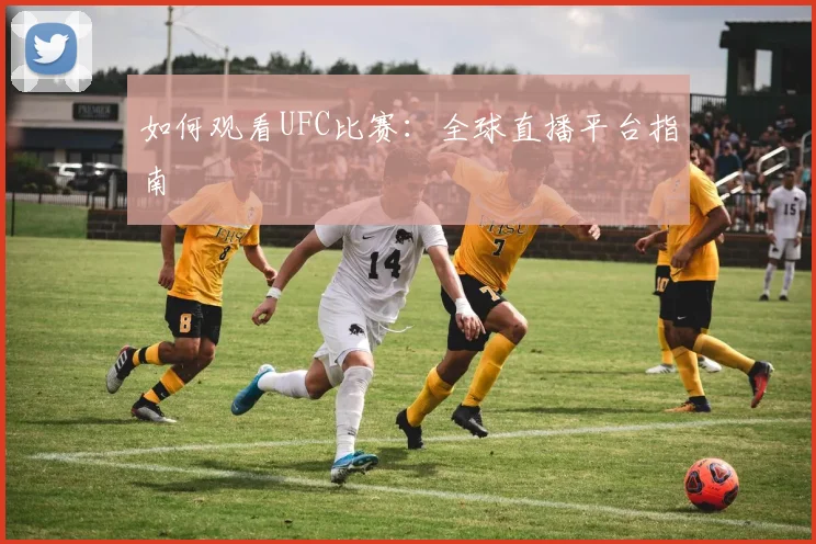 如何观看UFC比赛：全球直播平台指南