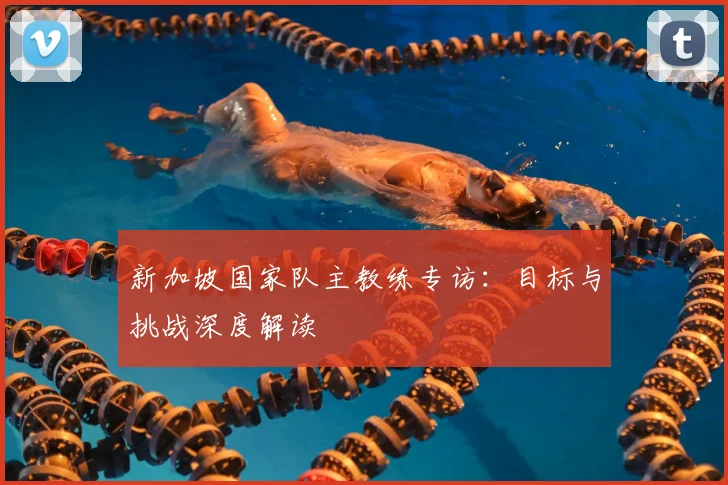 新加坡国家队主教练专访：目标与挑战深度解读