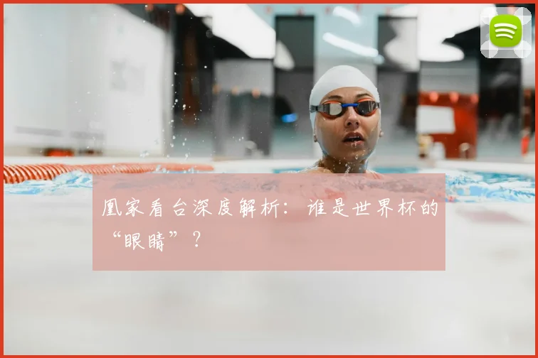 凰家看台深度解析:谁是世界杯的“眼睛”?