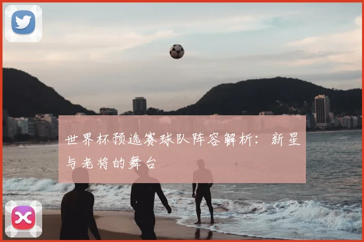 世界杯预选赛球队阵容解析：新星与老将的舞台