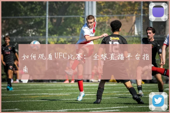 如何观看UFC比赛:全球直播平台指南