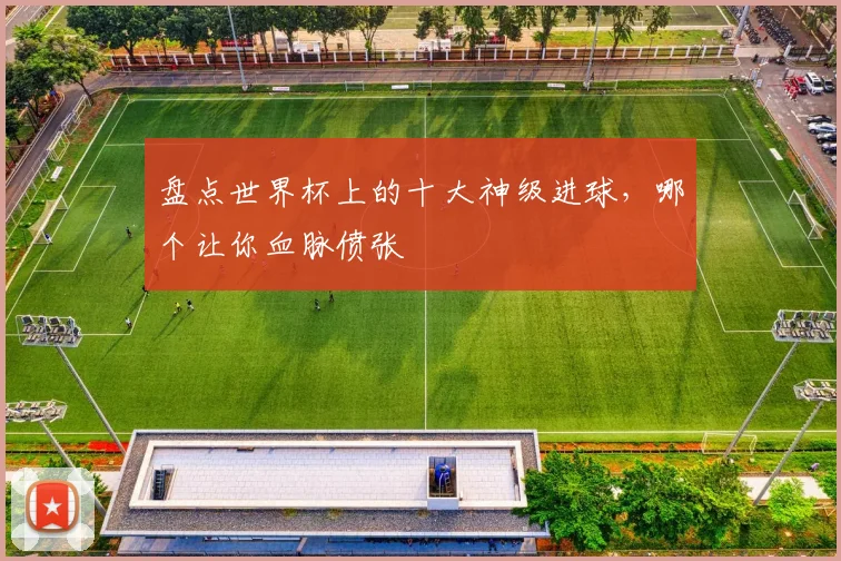 盘点世界杯上的十大神级进球,哪个让你血脉偾张