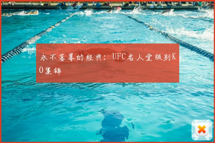永不落幕的经典：UFC名人堂级别KO集锦