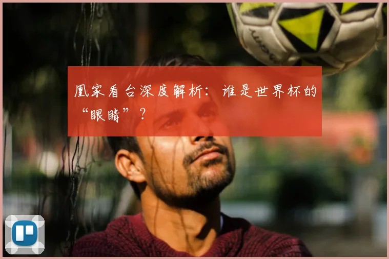凰家看台深度解析:谁是世界杯的“眼睛”?